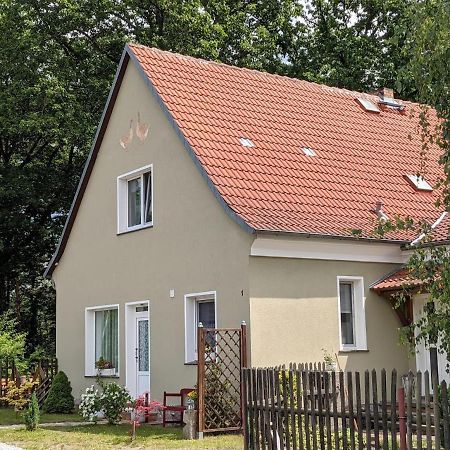 Helenes Ferienwohnung Auf Dem Bauernhof - Lausitzer Seenland Lauta Bagian luar foto