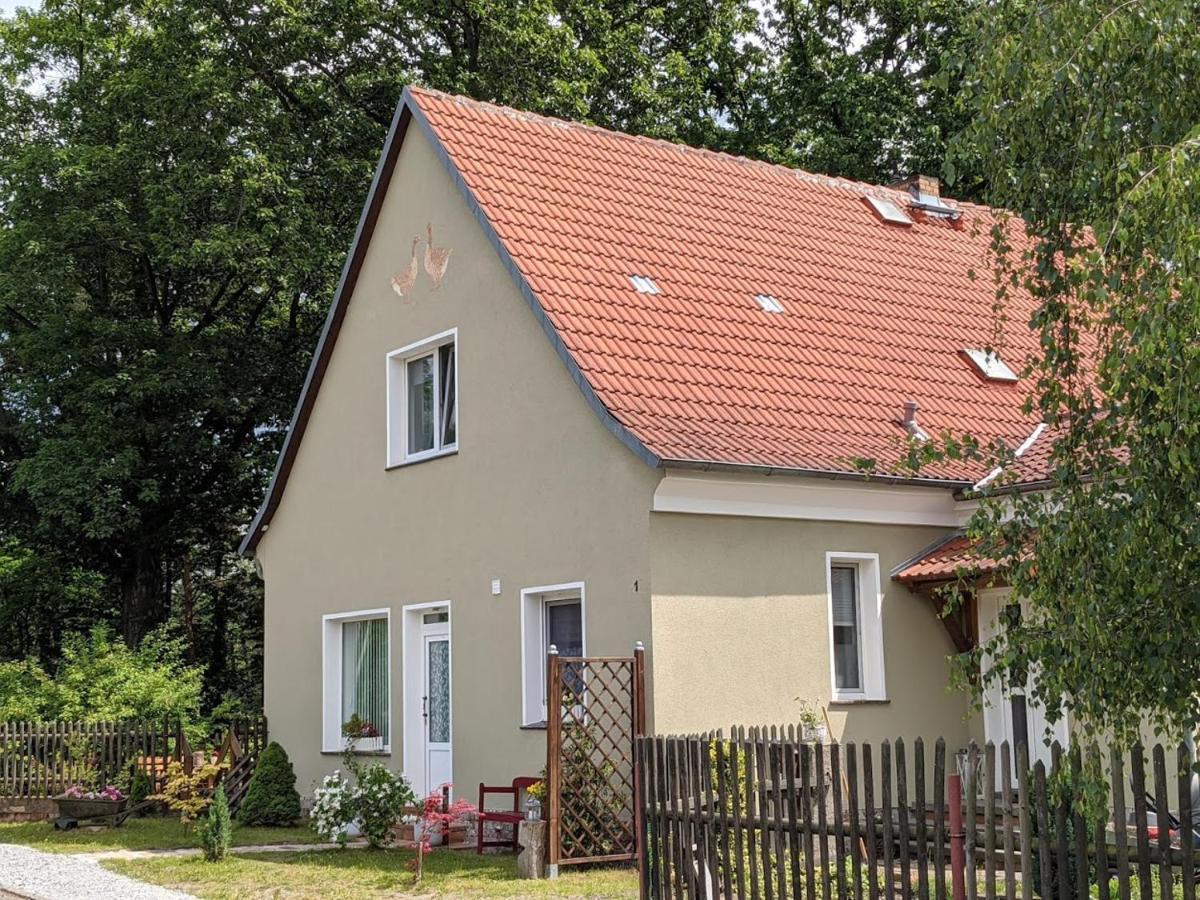 Helenes Ferienwohnung Auf Dem Bauernhof - Lausitzer Seenland Lauta Bagian luar foto