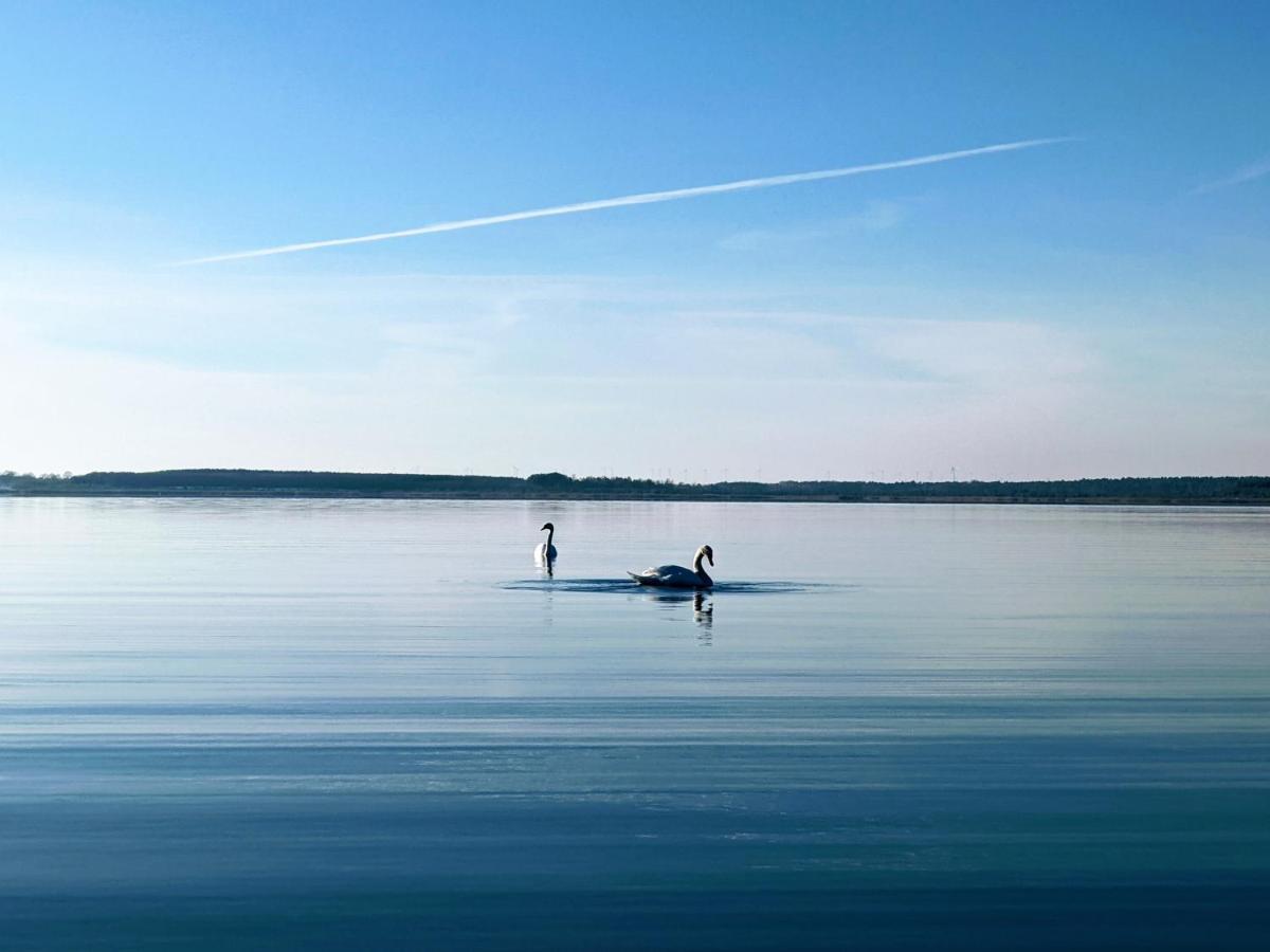 Helenes Ferienwohnung Auf Dem Bauernhof - Lausitzer Seenland Lauta Bagian luar foto